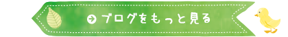 ブログをもっと見る